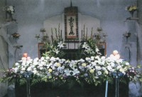 seikaonosou1
