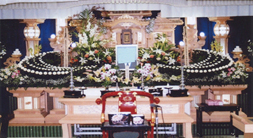 seikaonosou2